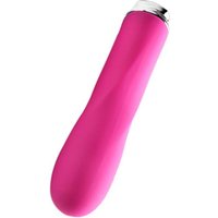 Dorr Foxy Mini Wave: Minivibrator