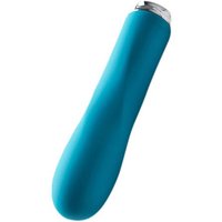 Dorr Foxy Mini Wave: Minivibrator