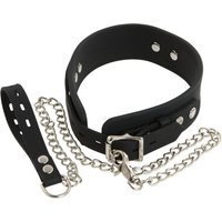 Halsfessel mit abnehmbarer Leine