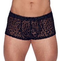 Pants aus feinem Powernet mit Leo-Samtflockprint