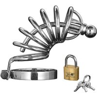 Master Series Asylum 6 Ring Chasity Cage: Edelstahl-Peniskäfig