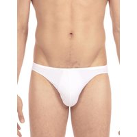 HOM Plumes: Micro Brief