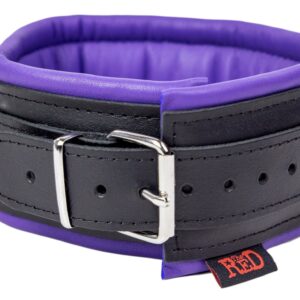 D-Ring Halsband