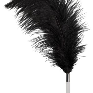 Federstab mit Plexiglas-Griff Bad Kitty Schwarz-4024144246977