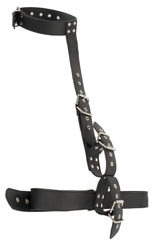 Fessel-Set Taille