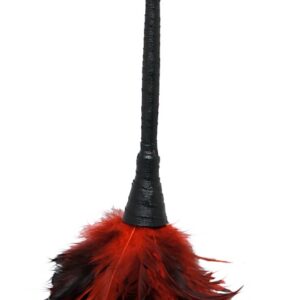 Frisky Feather Duster Federstab Schwarz-4024144554355