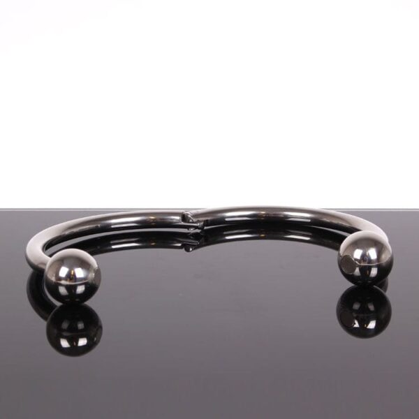 Halsband Magnet