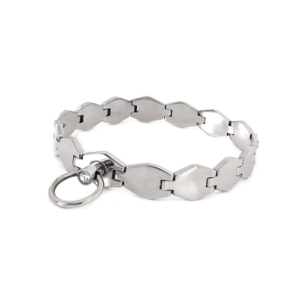 Halsband Schmuckstück