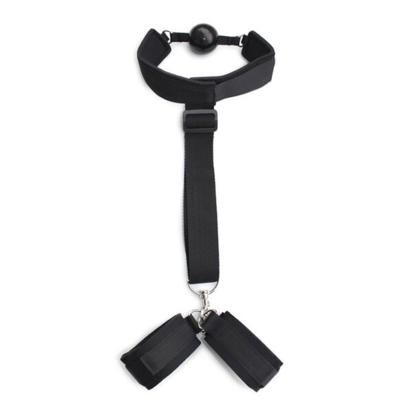 BDSM Fessel mit Ballknebel-