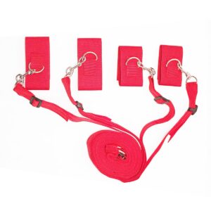 Bondage Gurte Rot-