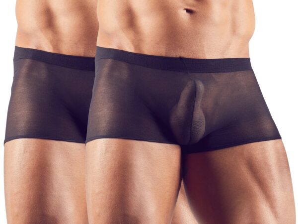 Sexy Pants im 2er-Pack hochelastisch und transparent Svenjoyment-4024144197682