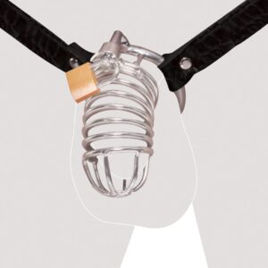 Peniskäfig mit verstellbarem Hüftgurt und Hodenring Fetish Fantasy Extreme Silbe...-4024144554270