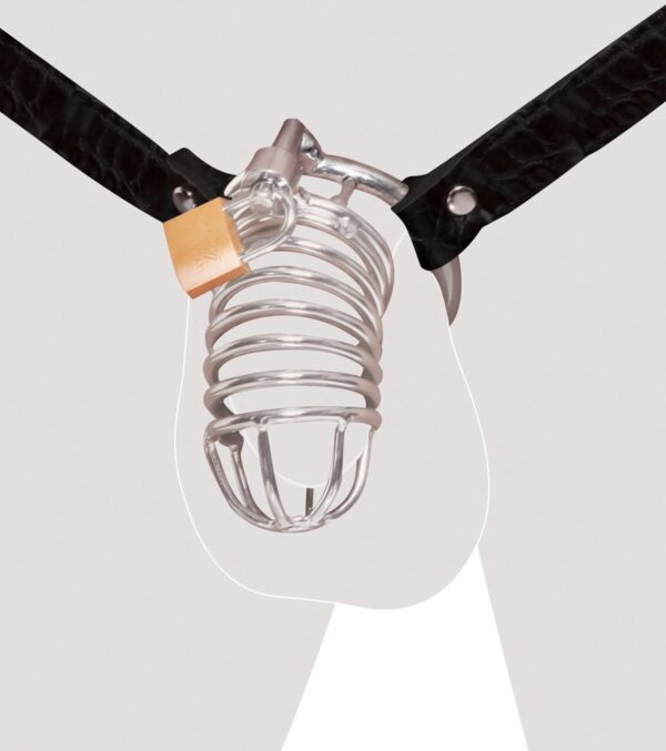 Peniskäfig mit verstellbarem Hüftgurt und Hodenring Fetish Fantasy Extreme Silbe...-4024144554270