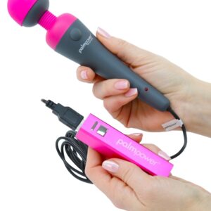 Palmpower Plug & Play Massagestab plus Powerbank Grau-677613307286