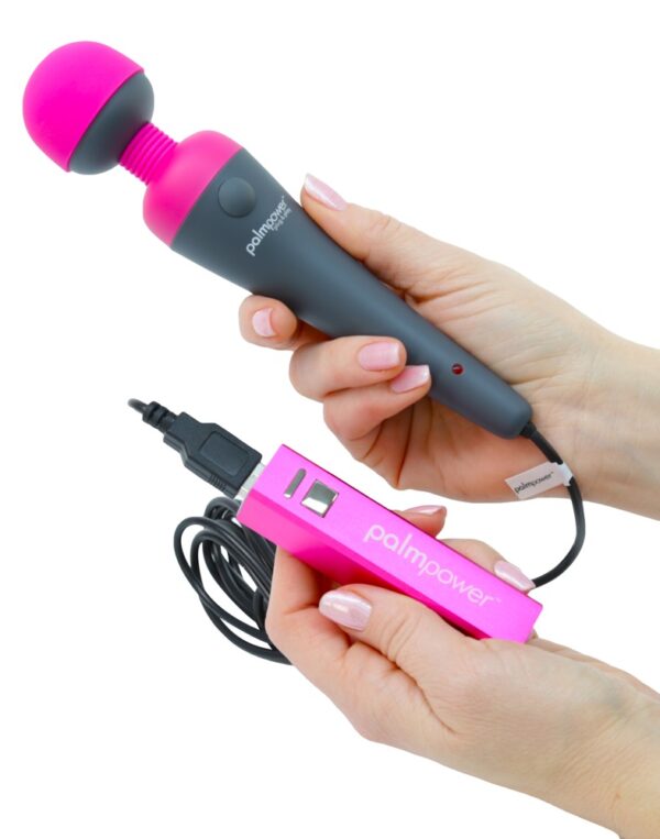 Palmpower Plug & Play Massagestab plus Powerbank Grau-677613307286