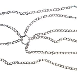 Zaumzeug mit Klemmen Silber-4024144527519
